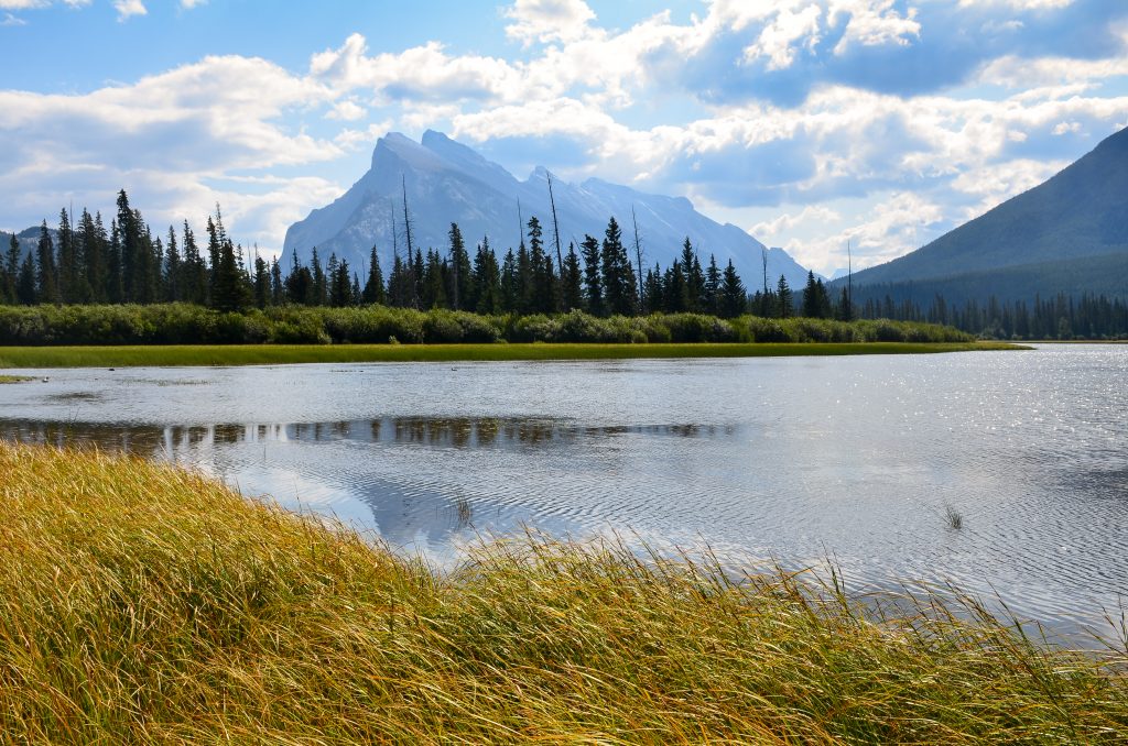 Vermillion Lakes