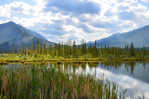 Banff - Vermillion Lakes