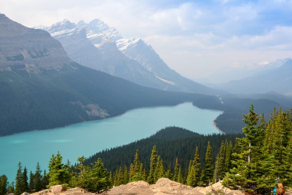 Banff - Peyto Lake