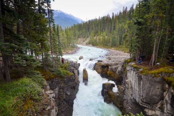 Sunwapta Falls