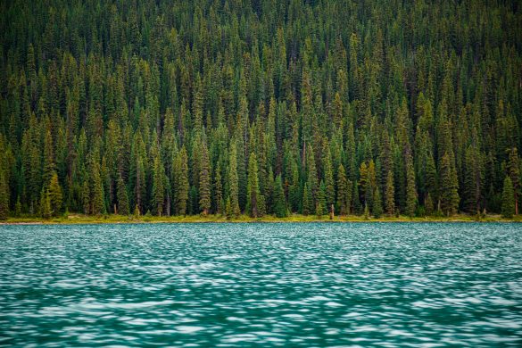 Maligne Lake